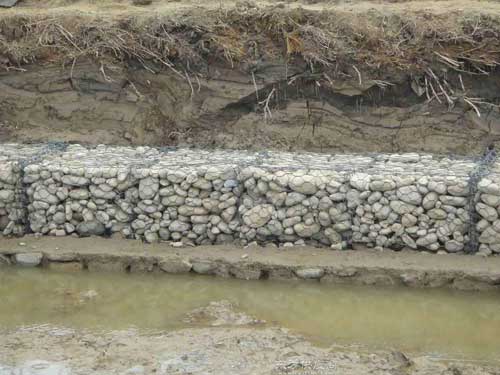 铅丝笼成为治理河道的主流力量